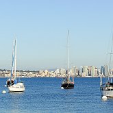 Bay